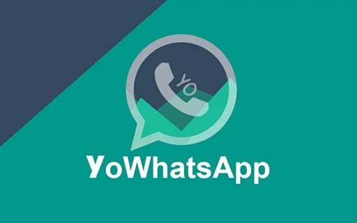 download yowhatsapp apk update